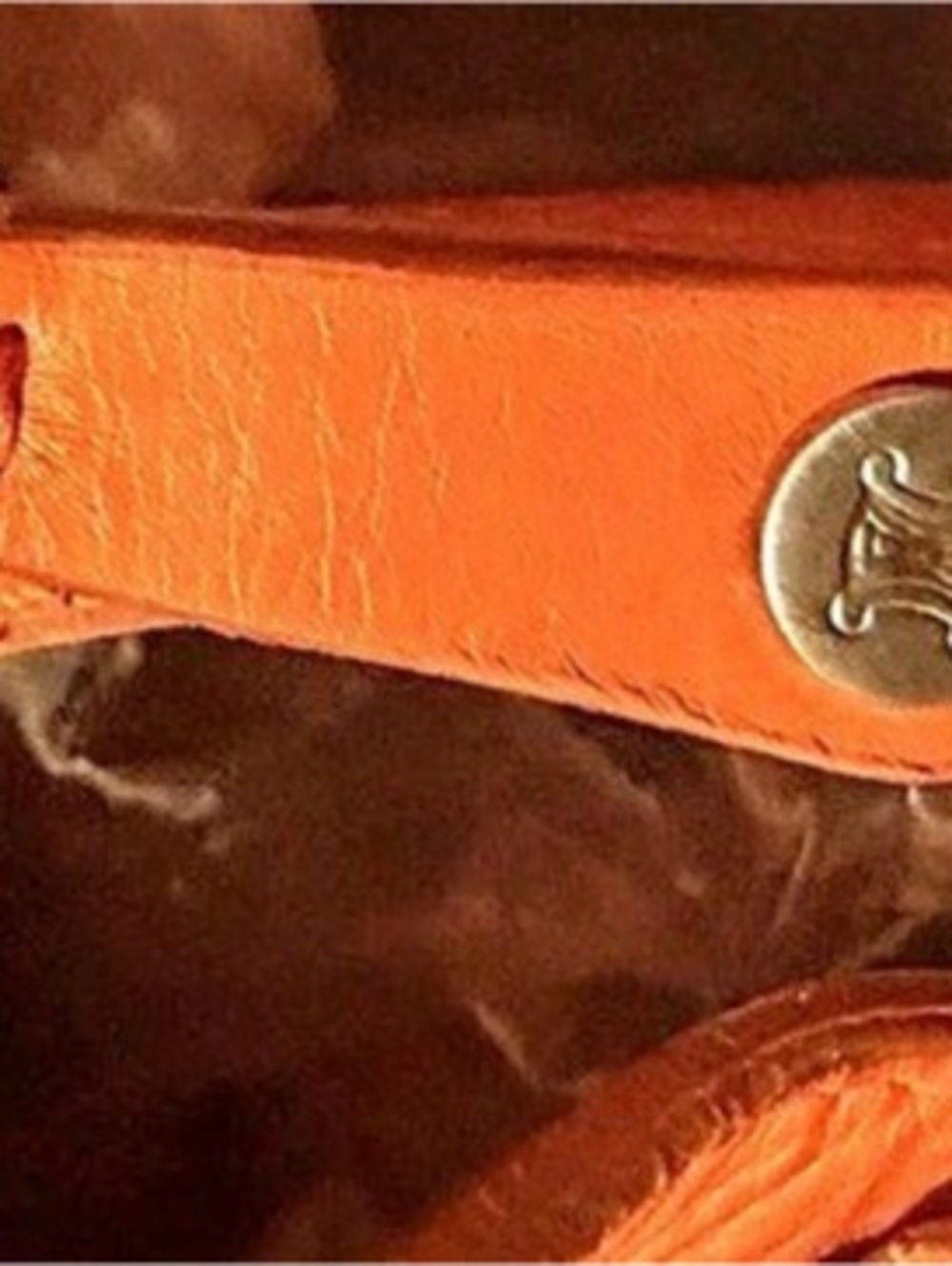 Celine Boogie Bag Orange Leather Tote - Picture 3 of 11